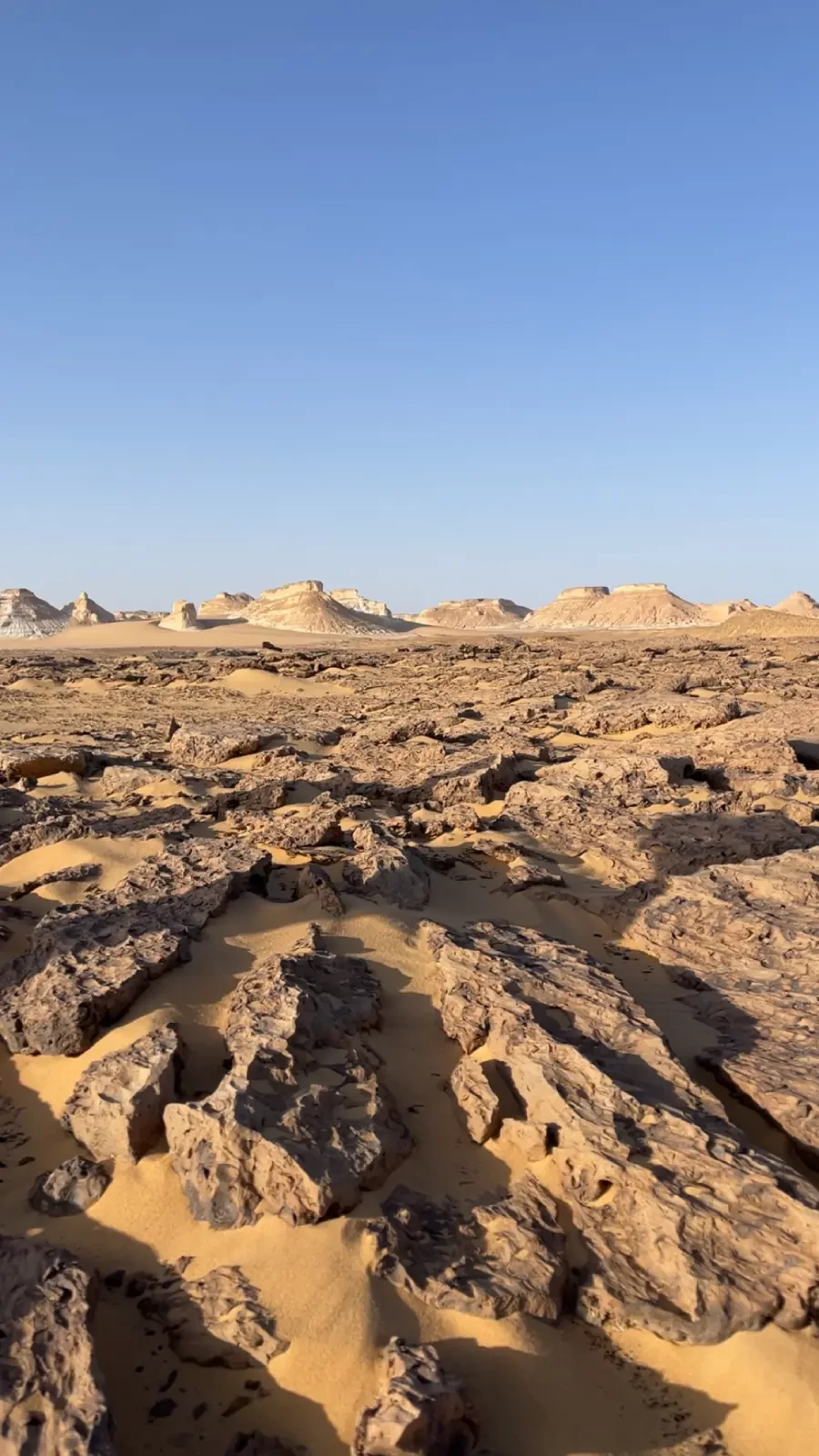 Belleza del desierto